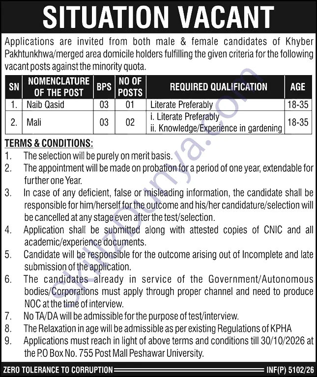 Government Organization Po Box 755 Peshawar — Public Sector PO Box 755 Peshawar Jobs 2026 — Mali, Naib Qasid Pakistan