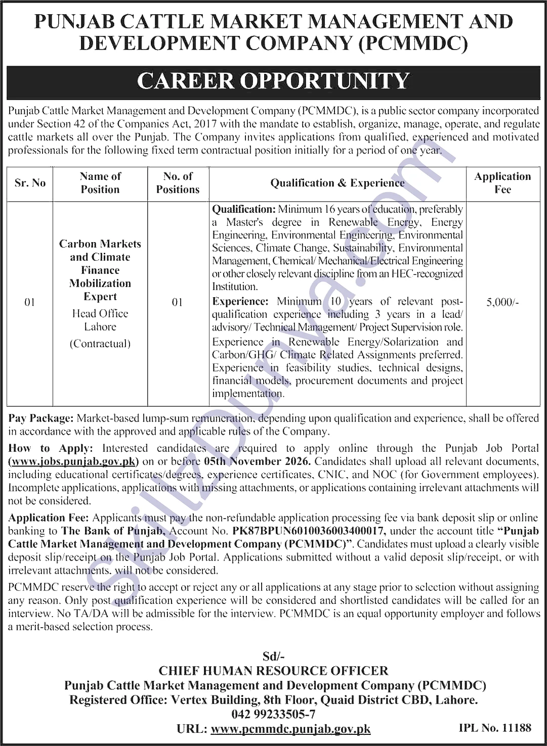 Punjab Cattle Market Management And Development Company Pcmmdc — Punjab Cattle Market Management and Development Company (PCMMDC) Lahore Jobs 2026 Pakistan
