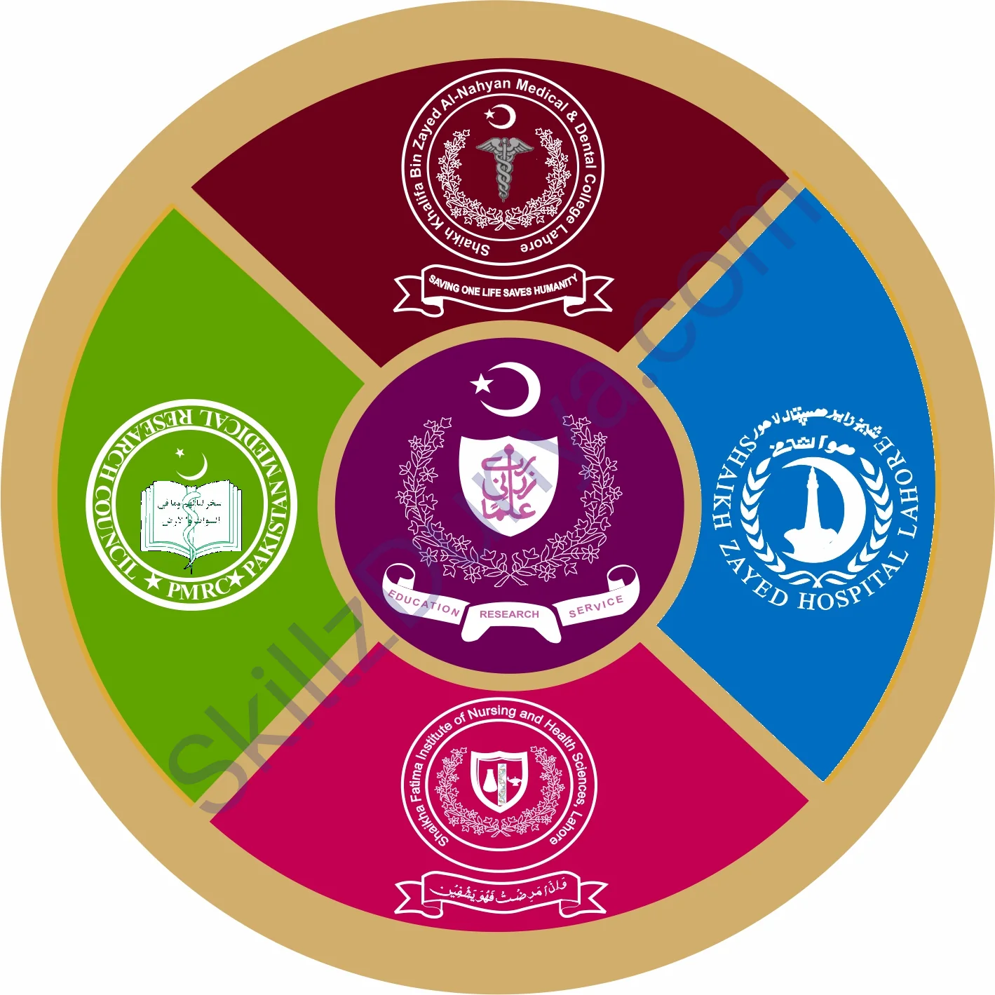 Shaikh Zayed Postgraduate Medical Institute Jobs 2026 — Stenographer, Lower Division Clerk & 3 More Posts — Official Newspaper Advertisement | SkillzDunya